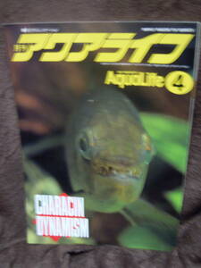 C3-1-16 журнал aqua жизнь 1990 год 4 месяц kalasin черепаха 