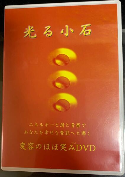 光る小石 ほおじろえいいち DVD