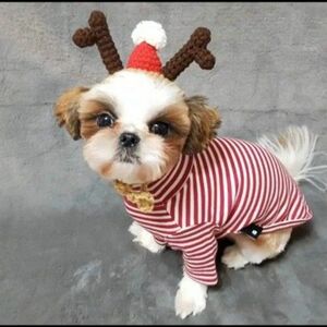 ハンドメイド　ペット用　帽子　クリスマス　サンタ帽子　猫帽子、犬帽子