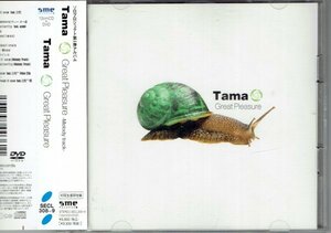 Tama 「Great Pleasure」 CD+DVD付き　初回限定盤アルバム 元ポルノグラフィティ 美品帯付き・送料無料