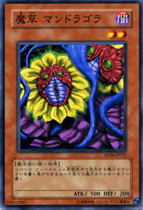 遊戯王カード 魔草 マンドラゴラ / ロード・オブ・マジシャン SD16 / シングルカード