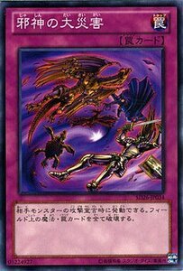 遊戯王カード 邪神の大災害 / 機光竜襲雷 SD26 / シングルカード