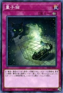 遊戯王 ストラクチャーデッキR 量子猫 ノーマル サイバース・リンク SD32