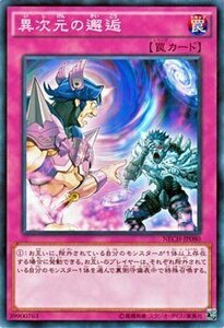 遊戯王 異次元の邂逅 ノーマルレア ネクストチャレンジャーズ