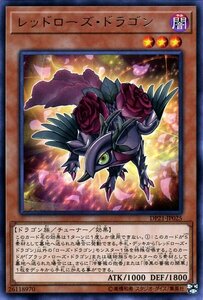 遊戯王カード レッドローズ・ドラゴン レア レジェンドデュエリスト編4 DP21 チューナー・効果モンスター 闇属性 ドラゴン族 レア