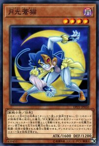 遊戯王 月光蒼猫 ノーマル デュエリストパック レジェンドデュエリスト編4 DP21-JP050 闇属性 獣戦士族 ムーンライト・ブルー・キャット