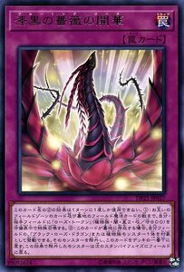 遊戯王カード 漆黒の薔薇の開華 レア レジェンドデュエリスト編4 DP21 ブルーミング・ローズ 通常罠 レア