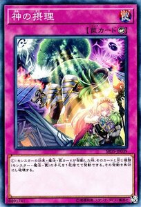 遊戯王カード 神の摂理 ノーマル ストラクチャーデッキR 神光の波動 SR05