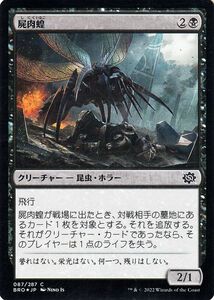 マジック：ザ・ギャザリング 兄弟戦争 屍肉蝗(フォイル/セットブースター開封) MTG 兄弟戦争(BRO-087) 日本語