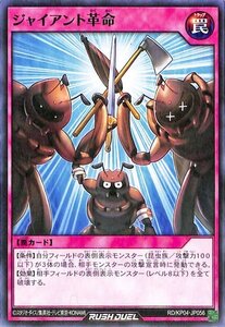 遊戯王カード ジャイアント革命 ノーマル 宿命のパワーデストラクション!! RDKP04 通常罠 ノーマル