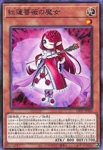 遊戯王 紅蓮薔薇の魔女 ノーマル ライトニング・オーバードライブ LIOV-JP010 チューナー 光属性 植物族 ブラッドローズウィッチ