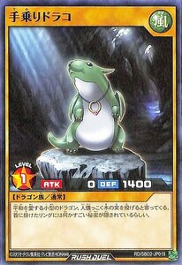 遊戯王 ラッシュデュエル手乗りドラコ ノーマル最強バトルデッキ ルーク －ドラゴンズ・ドラゴンズ－ RD/SBD2-JP019 風属性 ドラゴン族