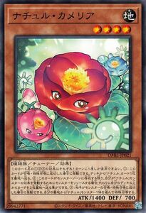 遊戯王カード クシャトリラ・カメリア ノーマル DARKWING BLAST DABL ダークウィング・ブラスト 効果モンスター 地属性 植物族