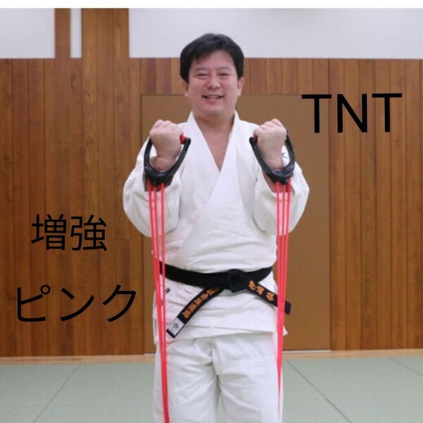 再値下 【新品】 増強 ピンクチューブ 3本セット TNT用 トレーニングチューブ ホームトレーニング 女性 全身トレーニング