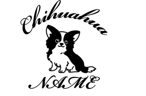  chihuahua. sticker.! width . approximately 180mm!!!