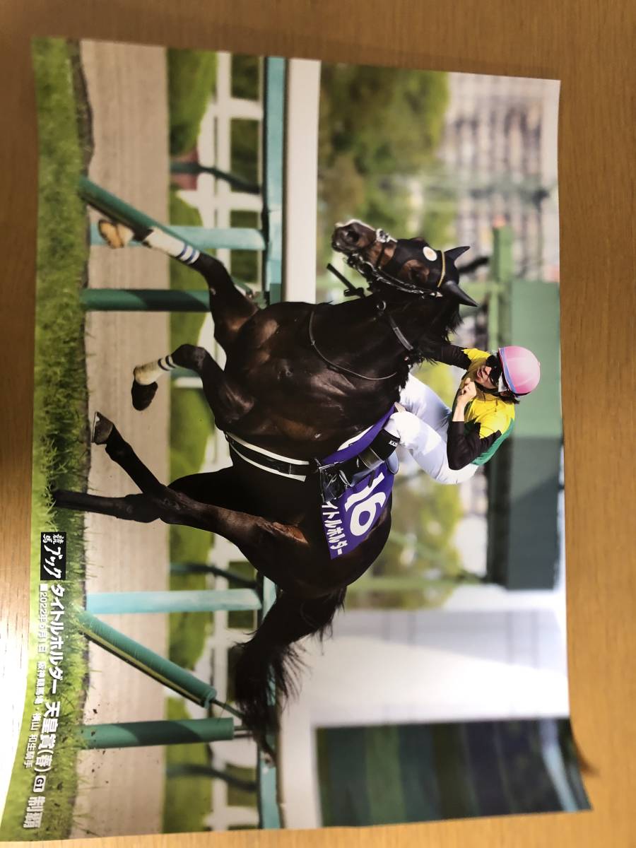 59%OFF!】 スペシャルウィーク 天皇賞春 B2サイズ優勝ポスター JRA