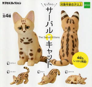 ◇◇◇　《即決》　カプセルコレクション　ちっちゃい　サーバルキャット　( 全４種セット )