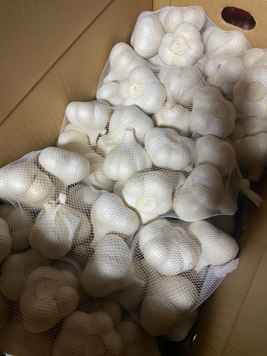 免疫力UP にんにく10Kg 2L - fundacionatenea.org