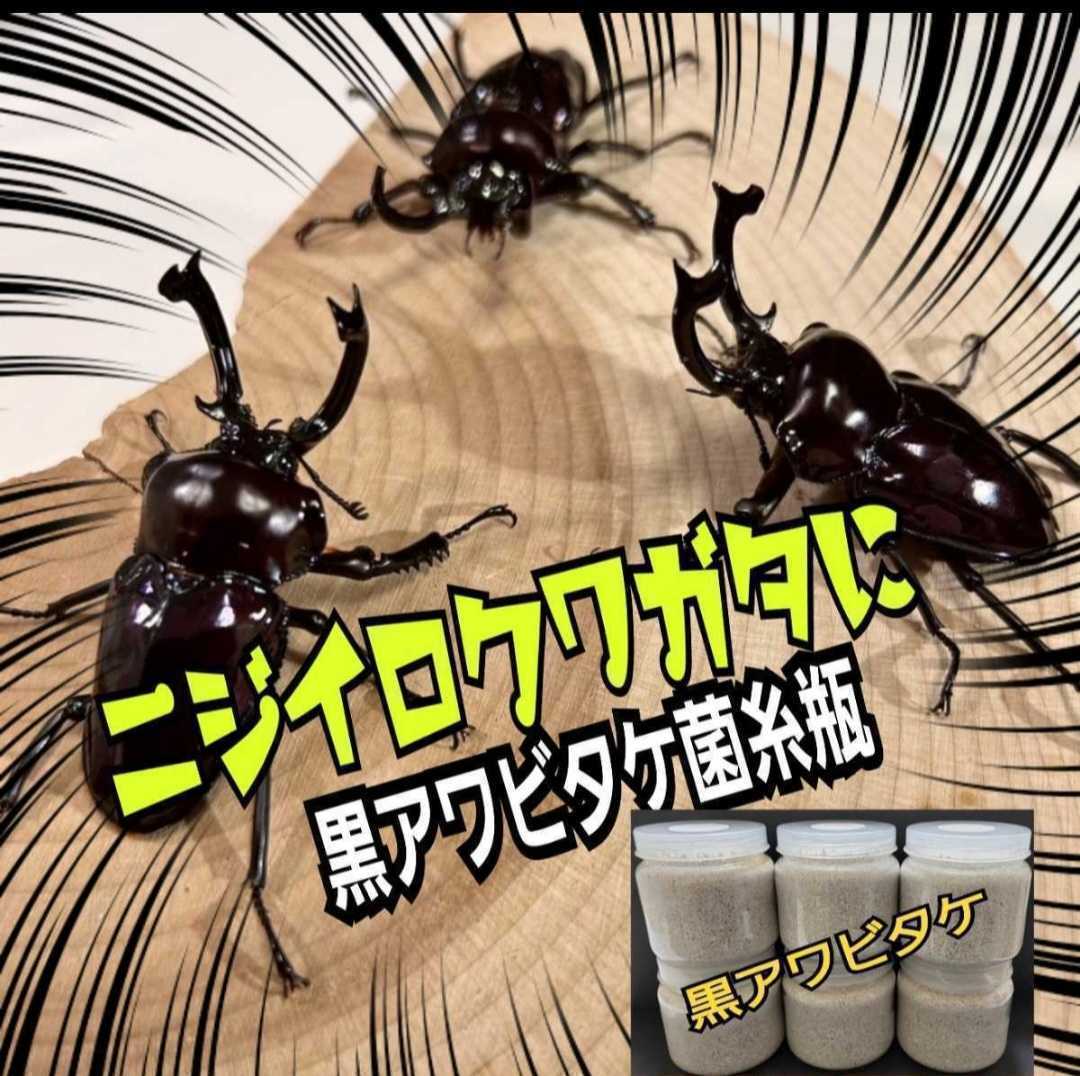 ニジイロクワガタに抜群!極上!黒アワビタケ菌糸瓶【9本】特殊