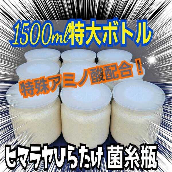 クワガタ幼虫がビックに　極上！ヒマラヤひらたけ菌糸瓶☆1500ml【3本】特殊アミノ酸強化配合　こだわりの一番菌だけで作成　ギネス級連発