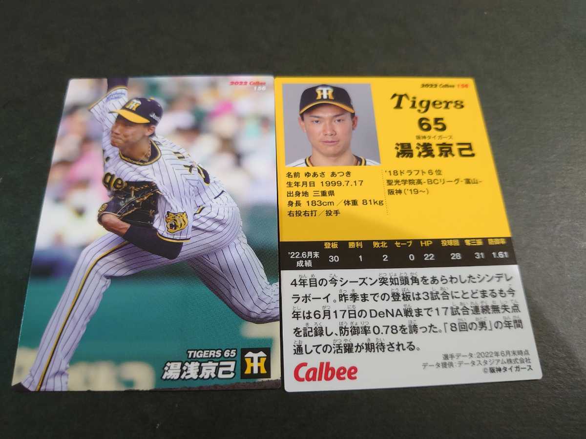 大切な 阪神タイガース 岩崎優投手 西純矢投手 2023プロ野球チップス