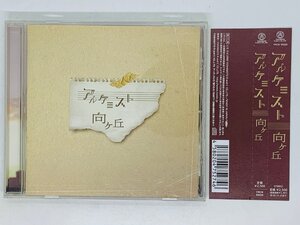 即決CD アルケミスト 向ヶ丘 / 洗濯日和 七夕 花火 雨宿り 砂時計 チアリーダー / アルバム 帯付き G04