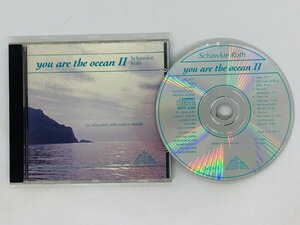 即決CD スイス盤 Schawkie Roth YOU ARE THE OCEAN II 2 / 篠笛 ハープ / 全面蒸着仕様 アルバム Switzerland W03