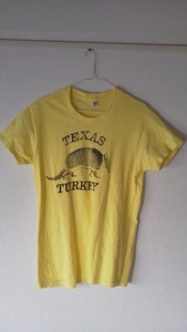 ヴィンテージ 70's アルマジロ Tシャツ Hanes ヘインズ 三角タグ made in USA Texas TURKEY オレンジタグ vintage armadillo T-shirt