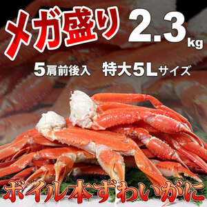 【蟹祭り】 ボイル ズワイガニ 約 2.3kg 特大 5L 極上品 さんきん1円