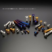 SUS304 フランジ付き ボタンボルト M10×25mm P1.25 六角穴 焼きチタン色 スターホールヘッド ステンレス ボルト TR0706_画像3