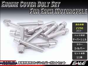 Z250(ER250)用 エンジンカバー ボルト11本セット ステンレス製キャップボルト使用 テーパーシェルヘッド シルバー TB8051