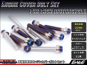 Z250(ER250)用 エンジンカバー ボルト11本セット ステンレス製キャップボルト使用 CTCテーパーヘッド シルバー&焼チタンカラー TB8057