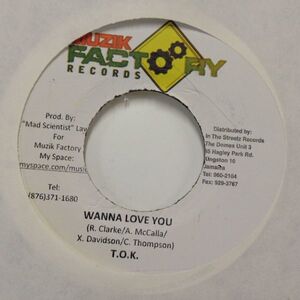 EPレコード　T.O.K / WANNA LOVE YOU (THROUGH THE FIRE)