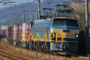 D【鉄道写真】L版３枚　EF66　貨物列車