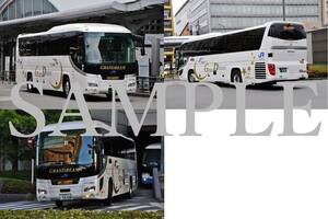 D【バス写真】L版３枚　西日本JRバス　ガーラ　グラン昼特急　京都駅