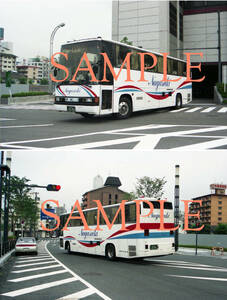 Ｆ【バス写真】Ｌ版２枚　長崎自動車　ブルーリボン　オランダ