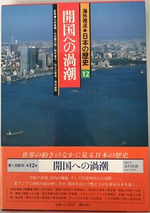 海外視点・日本の歴史 12 開国への渦潮 高村 直助