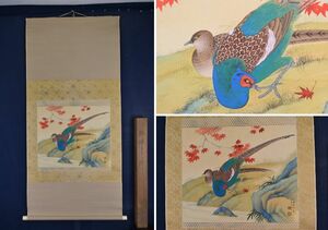 Art hand Auction Shinsaku/Sukeura Nagai/Hojas de otoño y faisán/Faisán/Faisán//Pergamino colgante☆Takarabune☆AA-765, cuadro, pintura japonesa, flores y pájaros, pájaros y bestias
