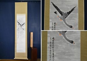 Art hand Auction Authentique/Ryūkyū/Neige claire et oies sauvages//Parchemin suspendu☆Bateau au trésor☆AA-809, Peinture, Peinture japonaise, Fleurs et oiseaux, Faune