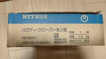 ★未使用★NTT東日本　ハウディ・クローバーホン光　00106607　A06-0234001 電話機_画像2