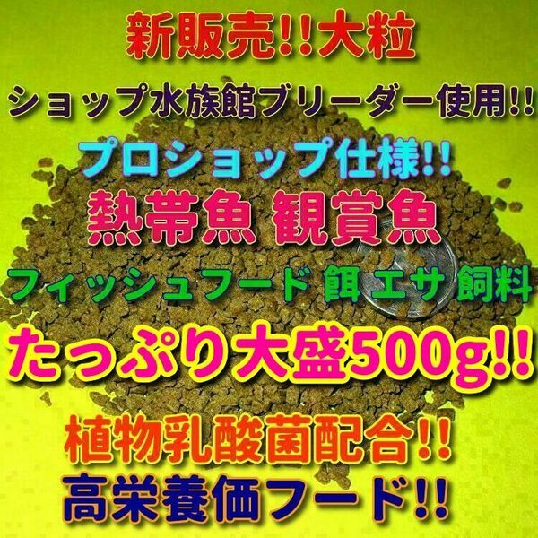 q新販売 大粒 新販売 大粒 熱帯魚 鑑賞魚 餌 エサ プロ仕様 500g!! 大盛お徳用