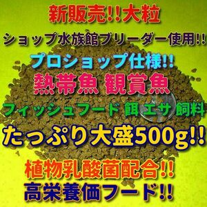 p新販売 大粒 熱帯魚 エサ フィッシュフード お徳用大盛 500g プロ仕様 シクリッド エンゼル プレコ