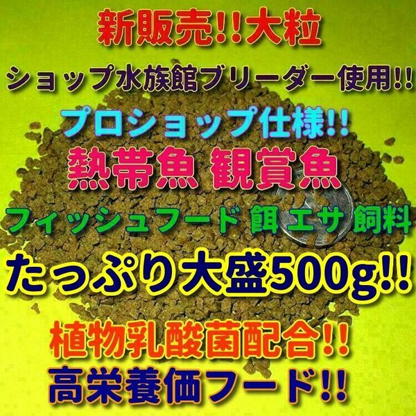 k新販売 フィッシュフード たっぷり500g 餌 プレコ シノドンテイス 熱帯魚 鑑賞魚 プロ仕様