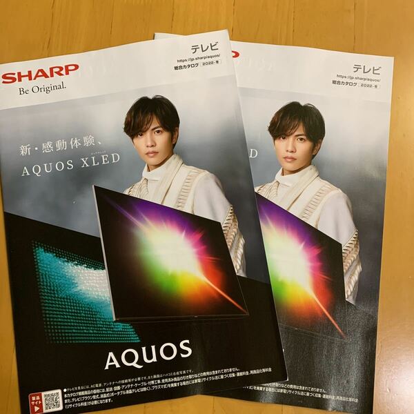 シャープ SHARP AQUOS カタログ 2冊 2022年 冬 志尊淳