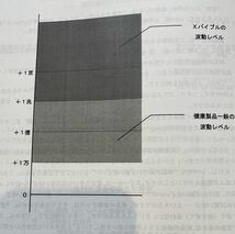 年末セール2個セットゼロックスゴールド98㎜純チタン99.9999%超高波動ペンダントエックスバイブルパワーストーンオルゴナイト天然石隕石_画像10