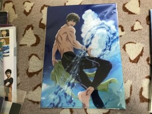 401クリアファイル　劇場版 Free! Road to the World 夢 京アニ 前売り特典 1弾 真琴