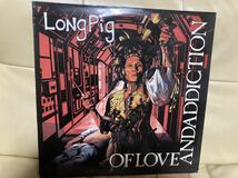 LONG PIG【LP OF LOVE AND ADDICTION】パンク天国/POSTPUNK/NEWWAVE/ポジパン/ゴス_画像1