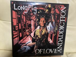 LONG PIG【LP OF LOVE AND ADDICTION】パンク天国/POSTPUNK/NEWWAVE/ポジパン/ゴス