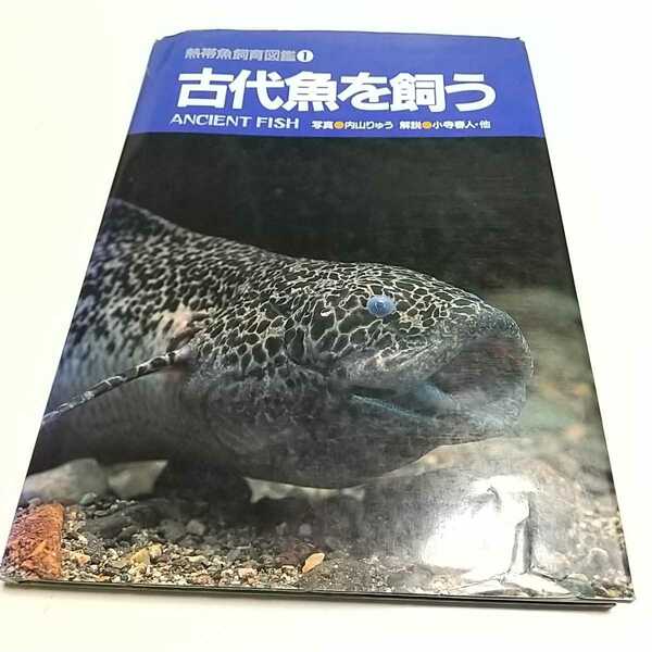 古代魚を飼う 熱帯魚飼育図鑑1 内山りゅう 小寺春人 マリン企画 1994年3刷 古書 ※カバー破れ 01001F001