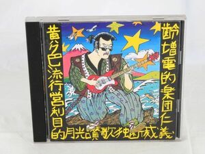 ZIGGY『YELLOW POP』ジギー【良品/CD】森重樹一 戸城憲夫 #7077